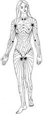 Schéma circulation lymphes du corps humain